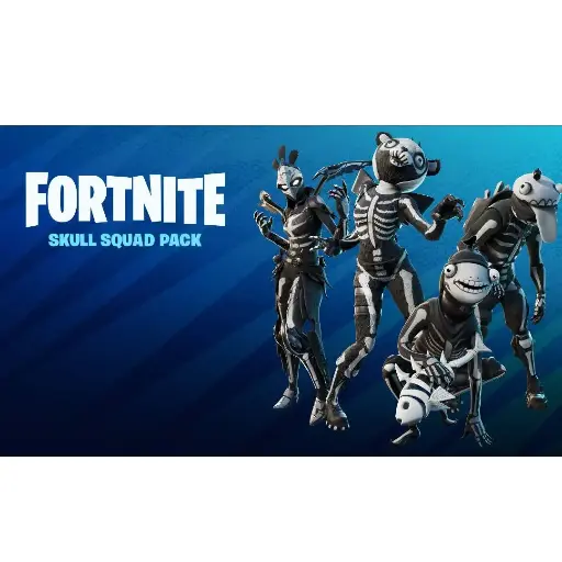 Fortnite Skull Squad Pack (All Platform) in your account  