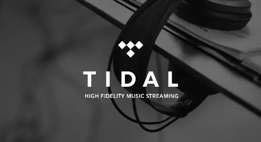 Tidal HiFi+ Private Account | 1 Month - 1 User